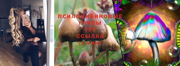 амф Баксан
