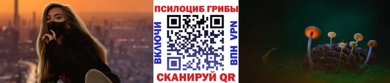 дарнет шоп  Монино  Галлюциногенные грибы Cubensis 